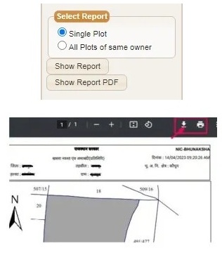 Show Report PDF
