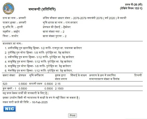 जमाबंदी नक़ल विवरण